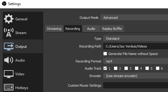 screenx pause recording